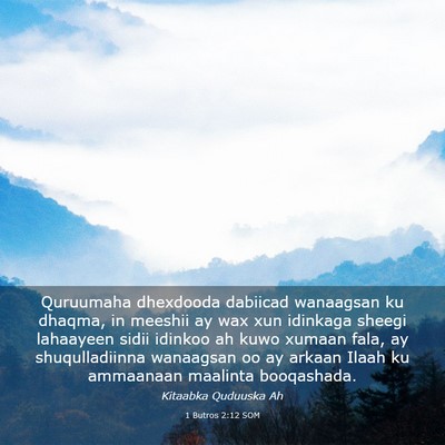Picture 03 - 1 Butros 2:12 SOM - Quruumaha dhexdooda dabiicad wanaagsan ku dhaqma, - Bible Verse Picture
