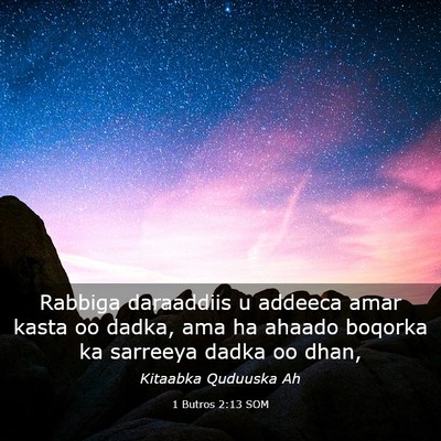 Picture 03 - 1 Butros 2:13 SOM - Rabbiga daraaddiis u addeeca amar kasta oo dadka, - Bible Verse Picture