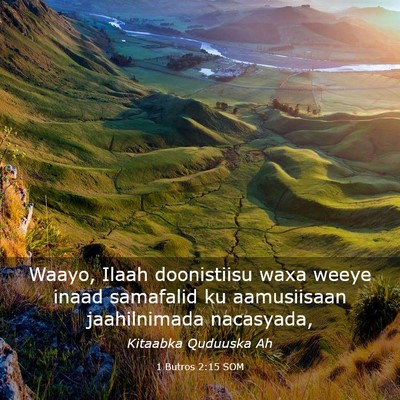 Picture 03 - 1 Butros 2:15 SOM - Waayo, Ilaah doonistiisu waxa weeye inaad - Bible Verse Picture