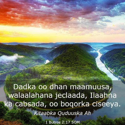 Picture 03 - 1 Butros 2:17 SOM - Dadka oo dhan maamuusa, walaalahana jeclaada, - Bible Verse Picture