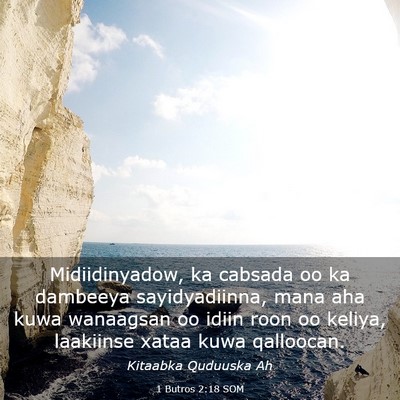 Picture 03 - 1 Butros 2:18 SOM - Midiidinyadow, ka cabsada oo ka dambeeya - Bible Verse Picture