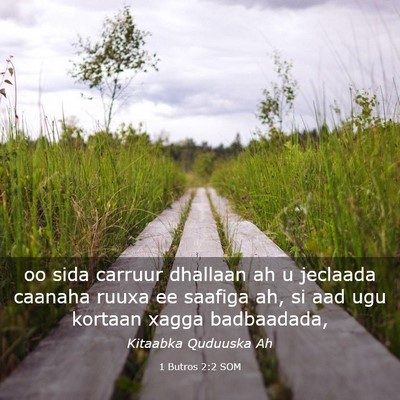 Picture 03 - 1 Butros 2:2 SOM - oo sida carruur dhallaan ah u jeclaada caanaha - Bible Verse Picture