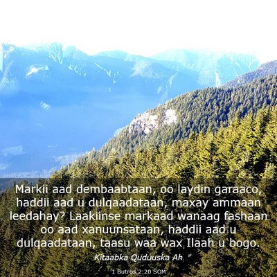 Picture 03 - 1 Butros 2:20 SOM - Markii aad dembaabtaan, oo laydin garaaco, haddii - Bible Verse Picture