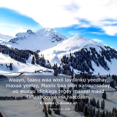 Picture 03 - 1 Butros 2:21 SOM - Waayo, taasu waa wixii laydiinku yeedhay, maxaa - Bible Verse Picture