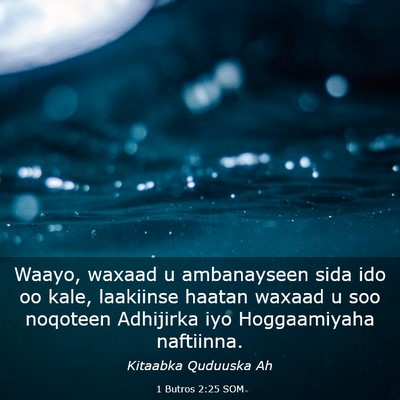 Picture 03 - 1 Butros 2:25 SOM - Waayo, waxaad u ambanayseen sida ido oo kale, - Bible Verse Picture