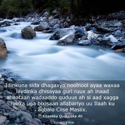 Picture 03 - 1 Butros 2:5 SOM - Idinkuna sida dhagaxyo noolnool ayaa waxaa - Bible Verse Picture