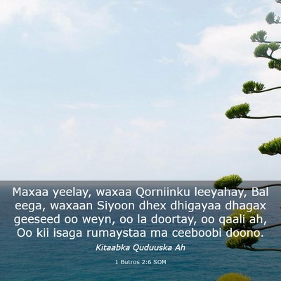 Picture 03 - 1 Butros 2:6 SOM - Maxaa yeelay, waxaa Qorniinku leeyahay, Bal eega, - Bible Verse Picture