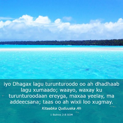 Picture 03 - 1 Butros 2:8 SOM - iyo Dhagax lagu turunturoodo oo ah dhadhaab lagu - Bible Verse Picture
