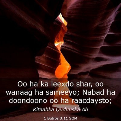 Picture 03 - 1 Butros 3:11 SOM - Oo ha ka leexdo shar, oo wanaag ha sameeyo; Nabad - Bible Verse Picture