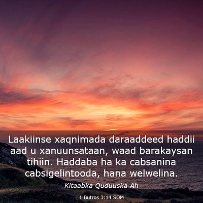 Picture 03 - 1 Butros 3:14 SOM - Laakiinse xaqnimada daraaddeed haddii aad u - Bible Verse Picture
