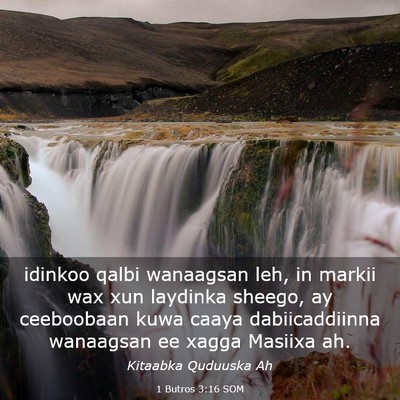 Picture 03 - 1 Butros 3:16 SOM - idinkoo qalbi wanaagsan leh, in markii wax xun - Bible Verse Picture