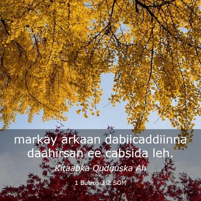 Picture 03 - 1 Butros 3:2 SOM - markay arkaan dabiicaddiinna daahirsan ee cabsida - Bible Verse Picture