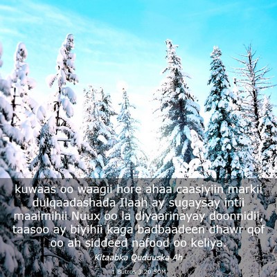 Picture 03 - 1 Butros 3:20 SOM - kuwaas oo waagii hore ahaa caasiyiin markii - Bible Verse Picture
