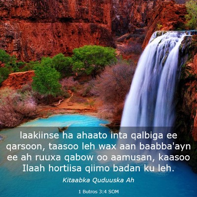 Picture 03 - 1 Butros 3:4 SOM - laakiinse ha ahaato inta qalbiga ee qarsoon, - Bible Verse Picture