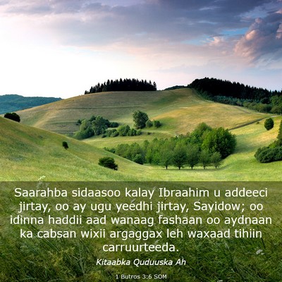 Picture 03 - 1 Butros 3:6 SOM - Saarahba sidaasoo kalay Ibraahim u addeeci - Bible Verse Picture