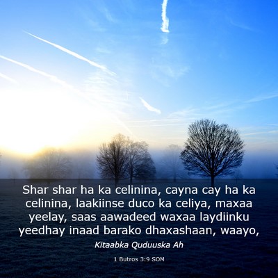 Picture 03 - 1 Butros 3:9 SOM - Shar shar ha ka celinina, cayna cay ha ka - Bible Verse Picture