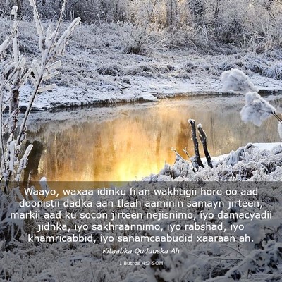 Picture 03 - 1 Butros 4:3 SOM - Waayo, waxaa idinku filan wakhtigii hore oo aad - Bible Verse Picture