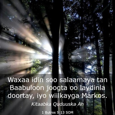 Picture 03 - 1 Butros 5:13 SOM - Waxaa idin soo salaamaya tan Baabuloon joogta oo - Bible Verse Picture