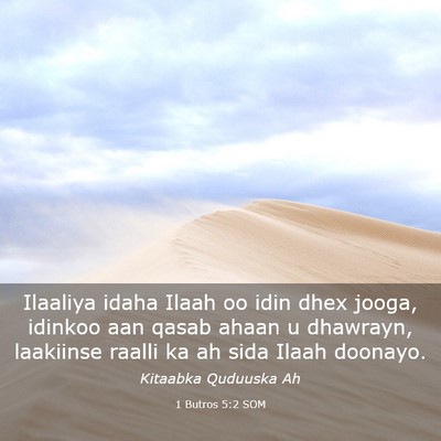 Picture 03 - 1 Butros 5:2 SOM - Ilaaliya idaha Ilaah oo idin dhex jooga, idinkoo - Bible Verse Picture