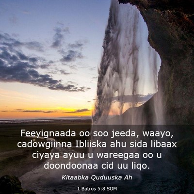 Picture 03 - 1 Butros 5:8 SOM - Feeyignaada oo soo jeeda, waayo, cadowgiinna - Bible Verse Picture