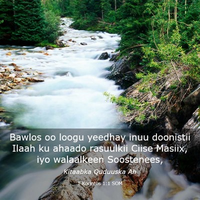 Picture 03 - 1 Korintos 1:1 SOM - Bawlos oo loogu yeedhay inuu doonistii Ilaah ku - Bible Verse Picture