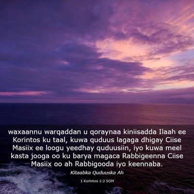 Picture 03 - 1 Korintos 1:2 SOM - waxaannu warqaddan u qoraynaa kiniisadda Ilaah ee - Bible Verse Picture