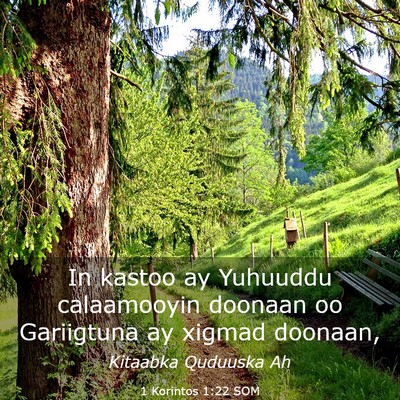 Picture 03 - 1 Korintos 1:22 SOM - In kastoo ay Yuhuuddu calaamooyin doonaan oo - Bible Verse Picture