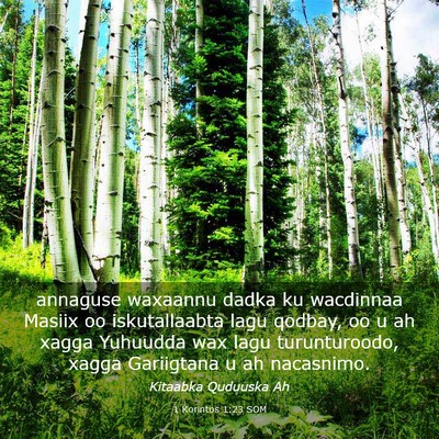 Picture 03 - 1 Korintos 1:23 SOM - annaguse waxaannu dadka ku wacdinnaa Masiix oo - Bible Verse Picture