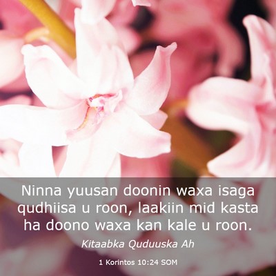 Picture 03 - 1 Korintos 10:24 SOM - Ninna yuusan doonin waxa isaga qudhiisa u roon, - Bible Verse Picture