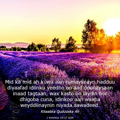 Picture 03 - 1 Korintos 10:27 SOM - Mid ka mid ah kuwa aan rumaysnayn hadduu diyaafad - Bible Verse Picture