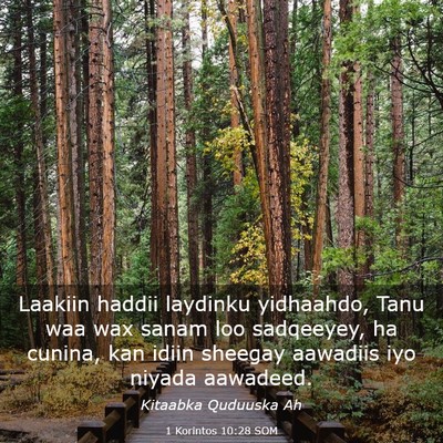 Picture 03 - 1 Korintos 10:28 SOM - Laakiin haddii laydinku yidhaahdo, Tanu waa wax - Bible Verse Picture
