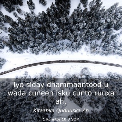Picture 03 - 1 Korintos 10:3 SOM - iyo siday dhammaantood u wada cuneen isku cunto - Bible Verse Picture