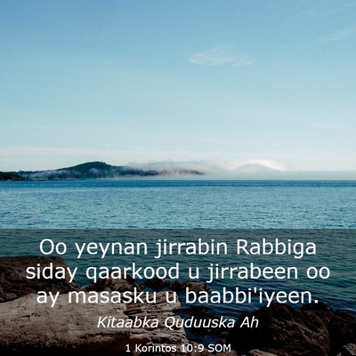 Picture 03 - 1 Korintos 10:9 SOM - Oo yeynan jirrabin Rabbiga siday qaarkood u - Bible Verse Picture