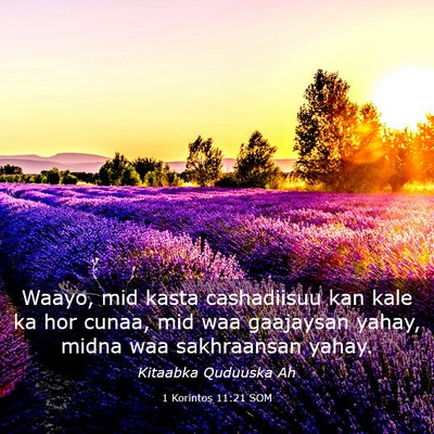 Picture 03 - 1 Korintos 11:21 SOM - Waayo, mid kasta cashadiisuu kan kale ka hor - Bible Verse Picture