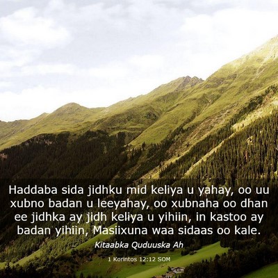 Picture 03 - 1 Korintos 12:12 SOM - Haddaba sida jidhku mid keliya u yahay, oo uu - Bible Verse Picture