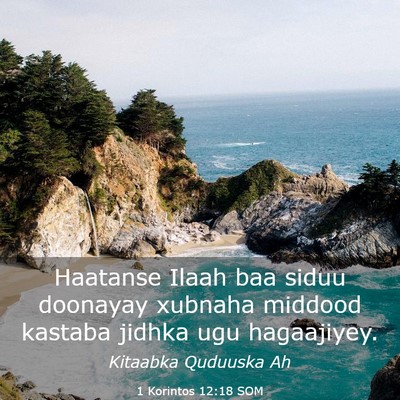 Picture 03 - 1 Korintos 12:18 SOM - Haatanse Ilaah baa siduu doonayay xubnaha middood - Bible Verse Picture