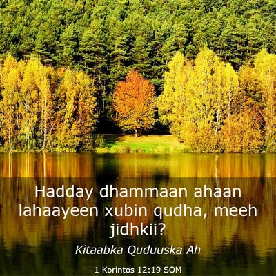 Picture 03 - 1 Korintos 12:19 SOM - Hadday dhammaan ahaan lahaayeen xubin qudha, meeh - Bible Verse Picture