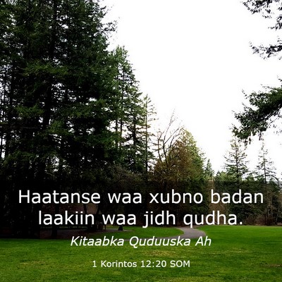 Picture 03 - 1 Korintos 12:20 SOM - Haatanse waa xubno badan laakiin waa jidh - Bible Verse Picture