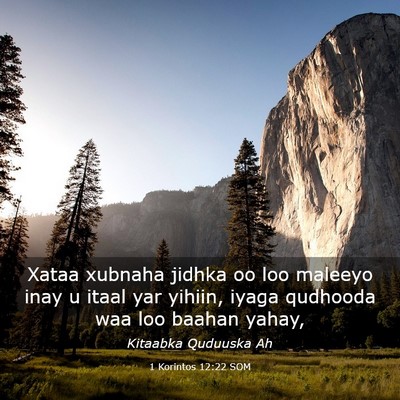 Picture 03 - 1 Korintos 12:22 SOM - Xataa xubnaha jidhka oo loo maleeyo inay u itaal - Bible Verse Picture