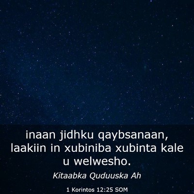Picture 03 - 1 Korintos 12:25 SOM - inaan jidhku qaybsanaan, laakiin in xubiniba - Bible Verse Picture