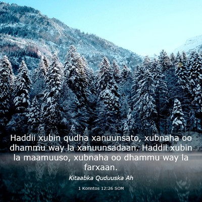 Picture 03 - 1 Korintos 12:26 SOM - Haddii xubin qudha xanuunsato, xubnaha oo dhammu - Bible Verse Picture