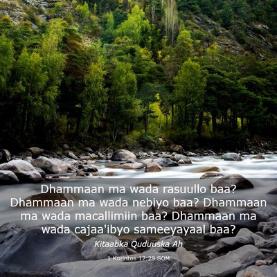 Picture 03 - 1 Korintos 12:29 SOM - Dhammaan ma wada rasuullo baa? Dhammaan ma wada - Bible Verse Picture