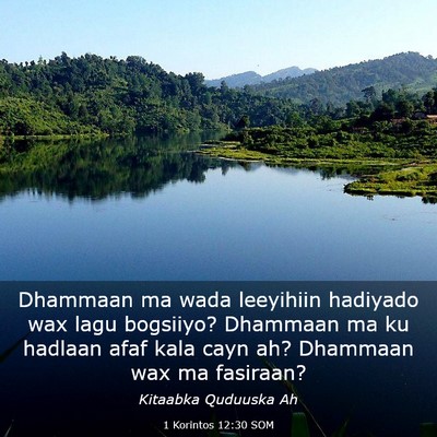 Picture 03 - 1 Korintos 12:30 SOM - Dhammaan ma wada leeyihiin hadiyado wax lagu - Bible Verse Picture