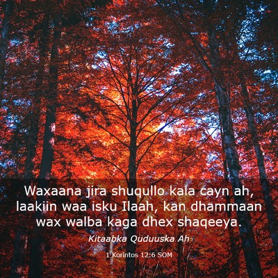 Picture 03 - 1 Korintos 12:6 SOM - Waxaana jira shuqullo kala cayn ah, laakiin waa - Bible Verse Picture