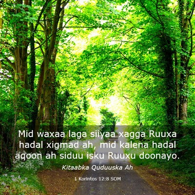 Picture 03 - 1 Korintos 12:8 SOM - Mid waxaa laga siiyaa xagga Ruuxa hadal xigmad - Bible Verse Picture