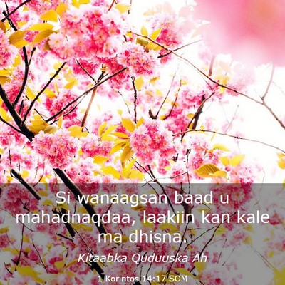 Picture 03 - 1 Korintos 14:17 SOM - Si wanaagsan baad u mahadnaqdaa, laakiin kan kale - Bible Verse Picture