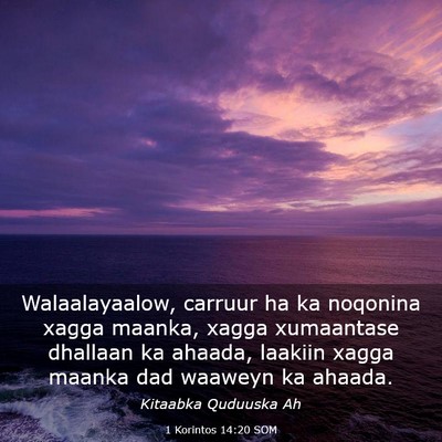 Picture 03 - 1 Korintos 14:20 SOM - Walaalayaalow, carruur ha ka noqonina xagga - Bible Verse Picture