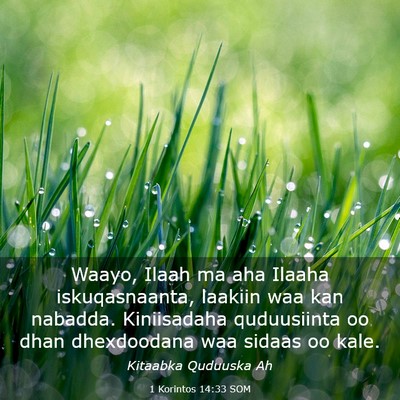 Picture 03 - 1 Korintos 14:33 SOM - Waayo, Ilaah ma aha Ilaaha iskuqasnaanta, laakiin - Bible Verse Picture