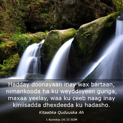 Picture 03 - 1 Korintos 14:35 SOM - Hadday doonayaan inay wax bartaan, nimankooda ha - Bible Verse Picture