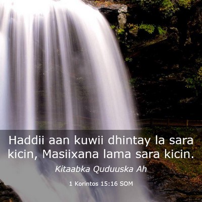 Picture 03 - 1 Korintos 15:16 SOM - Haddii aan kuwii dhintay la sara kicin, Masiixana - Bible Verse Picture